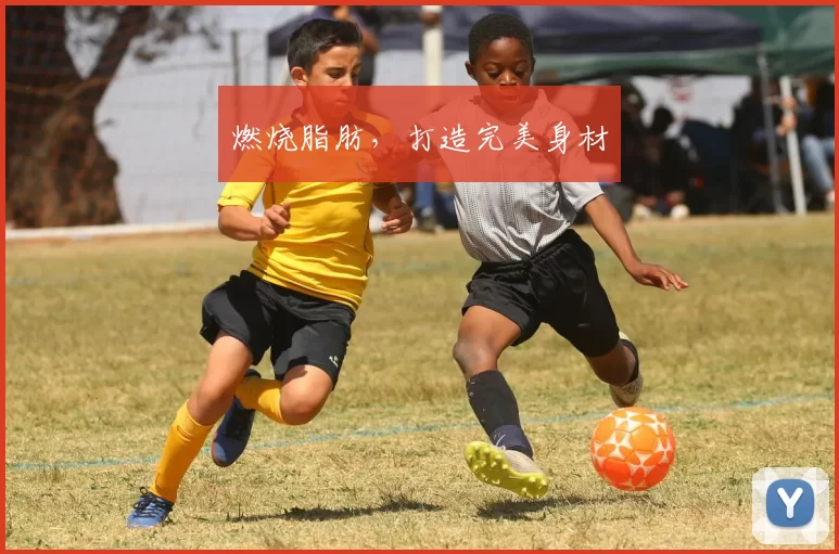 燃烧脂肪，打造完美身材