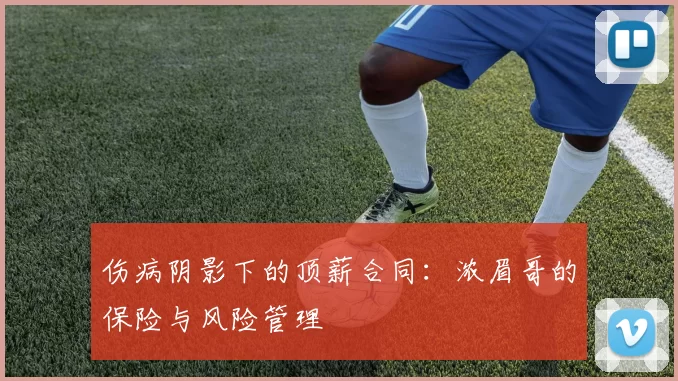伤病阴影下的顶薪合同：浓眉哥的保险与风险管理