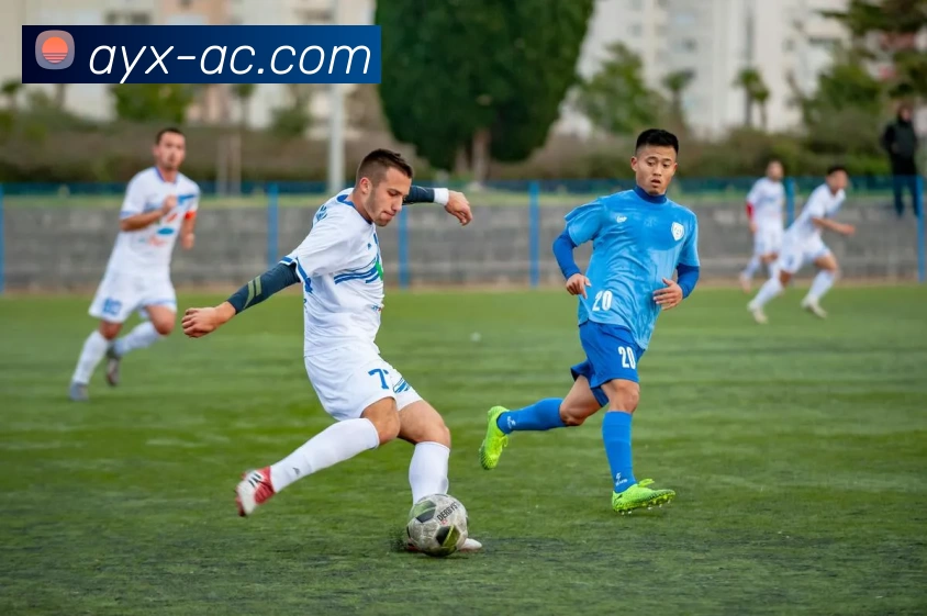 多媒体互动体验